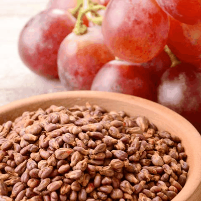 Grape seeds and red grapes — proanthocyanidin antioxidant source in the Spartamax formula