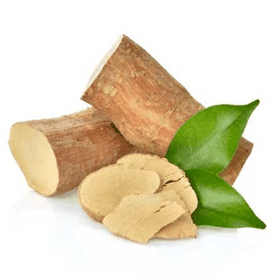 Tongkat Ali root (Eurycoma longifolia) — botanical ingredient in Spartamax men’s vitality gummies